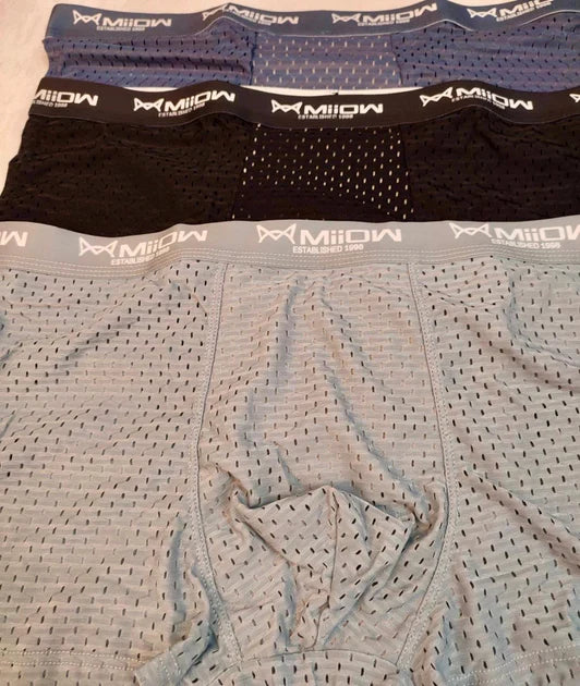 (ππ¦π©π¨π«πππ) Milow (Set of 9) Underwears (Graphene Antibacterial Ice Silk)